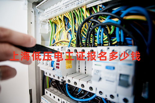 上海低压电工证报名